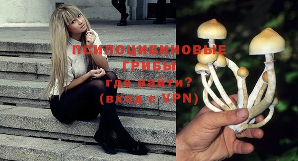 дмт Алзамай