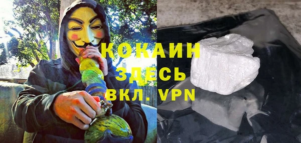 прущие грибы Алексеевка