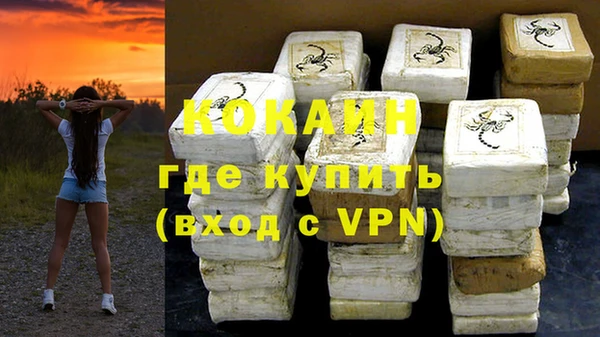 ПСИЛОЦИБИНОВЫЕ ГРИБЫ Карталы