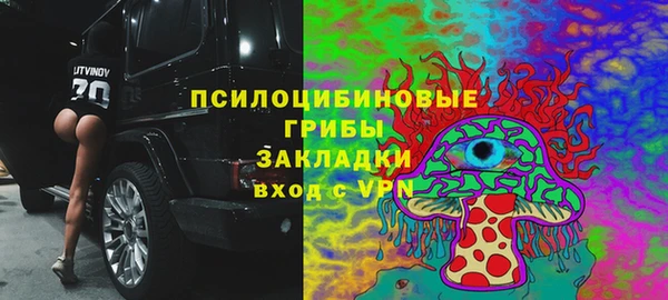прущие грибы Алексеевка