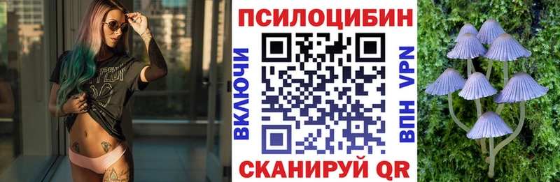 Галлюциногенные грибы Psilocybine cubensis  цена наркотик  Железногорск 