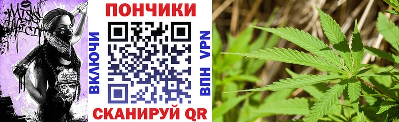 купить  цена  Железногорск  Марихуана план 